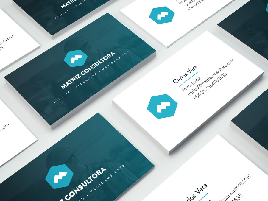 Matriz Consultora — corporate website shown on laptop screen